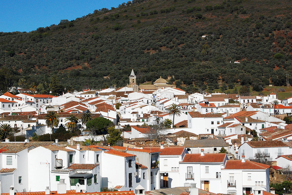 Higuera_de_la_sierra
